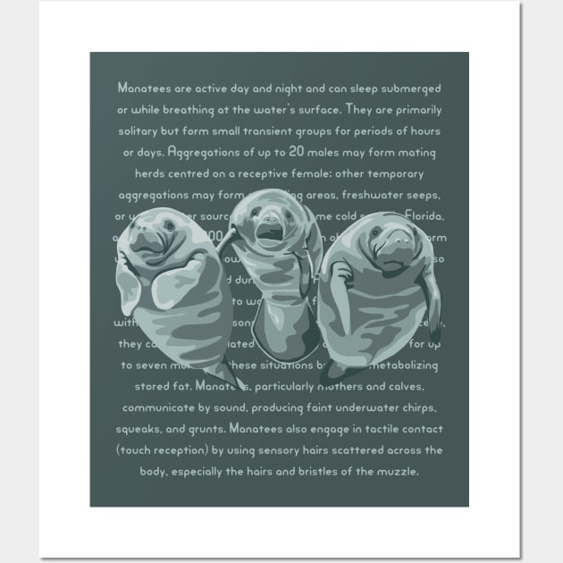 Information About Endangered Manatees Wall Art by Slightly Unhinged